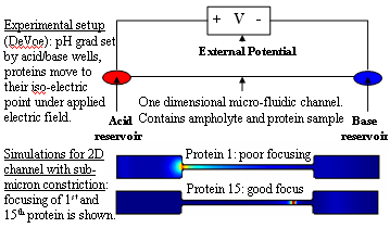 experimental setup