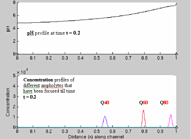 ph profile chart